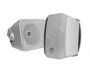 Корпусной громкоговоритель AMC VIVA 5 (RAL 9016)