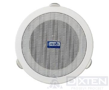 товар из каталога dixten