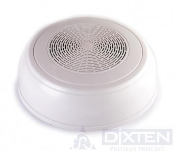 товар из каталога dixten
