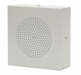 Настенный громкоговоритель ROXTON WS-06T