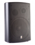 Корпусной громкоговоритель ROXTON MS-80T