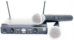 Радиосистема MICLINE PRO100