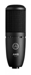 Инструментальный микрофон AKG P120