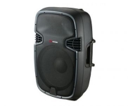 Активная акустическая система VOLTA P-12A R G