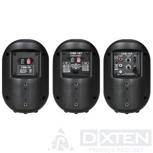 Корпусной громкоговоритель SHOW CSB10T BK - Компания Дикстен