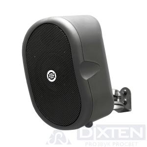 товар из каталога dixten