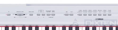 Портативное пианино YAMAHA P-115WH - Компания Дикстен