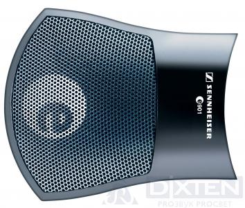 Инструментальный микрофон SENNHEISER E901 - Компания Дикстен Инструментальный микрофон SENNHEISER E901 - Компания Дикстен