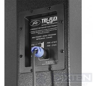Активный акустический комплект PEAVEY TRIFLEX II - Компания Дикстен