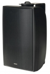 Всепогодный громкоговоритель TANNOY DVS 4T