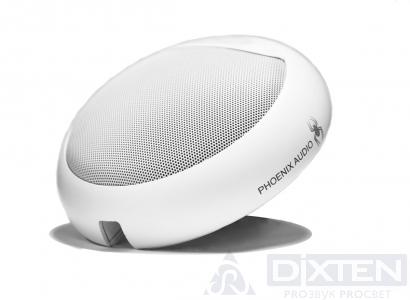 товар из каталога dixten