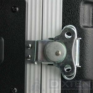 Рэковый кейс AMERICAN DJ ACCU CASE ACF-SP ABS 10U - Компания Дикстен