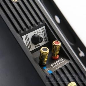 Настенный громкоговоритель CVGAUDIO RF616TBL - Компания Дикстен