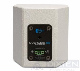 Настенный громкоговоритель CVGAUDIO SAT-S3W - Компания Дикстен