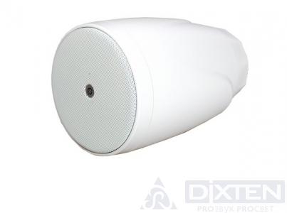товар из каталога dixten