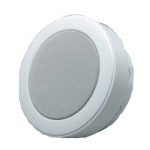 Настенный громкоговоритель PENTON SENTRY6RT ENC