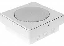Настенный громкоговоритель PENTON SENTRY6ST ENC