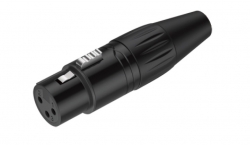 Разъем XLR ROXTONE RX3FP-BT
