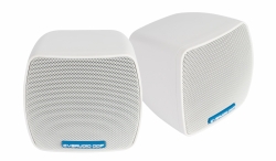 Настенный громкоговоритель CVGAUDIO ODF308W