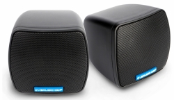 Настенный громкоговоритель CVGAUDIO ODF3TBL