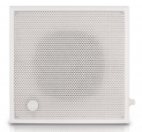 Настенный громкоговоритель CVGAUDIO WPS6T