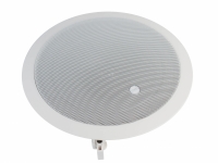 Потолочный громкоговоритель CVGAUDIO CRX8T