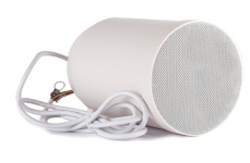 Потолочный громкоговоритель CVGAUDIO SPC5T