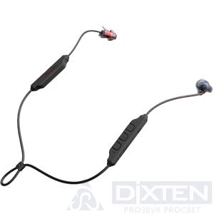 товар из каталога dixten