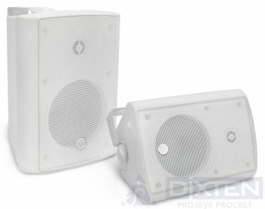 Настенный громкоговоритель CVGAUDIO NF5TW - Компания Дикстен