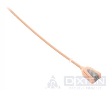товар из каталога dixten