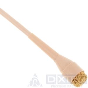 товар из каталога dixten