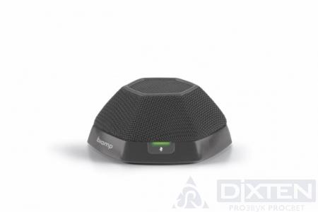 товар из каталога dixten
